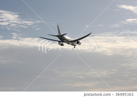Final Approach 36995161