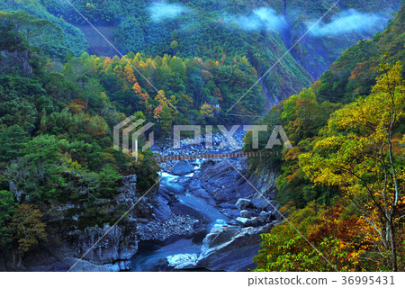 Valley, water, mountain, autumn, fall, stream, tree, maple, maple, stream, bridge, Taiwan, Hsinchu, show 36995431