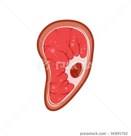 Human cell with single nucleus under microscope 36995702