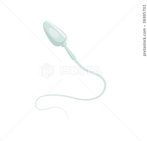 Male sperm cell or spermatozoon. Biology and 36995703