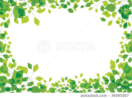 Leaf Background Vector design Leaf Background Vector design 36995807