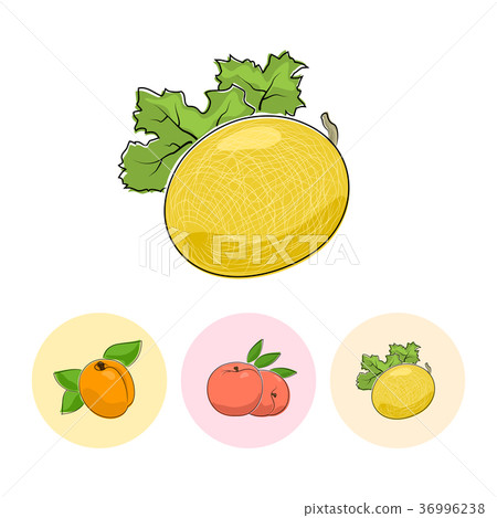 Fruit Icons, Melon ,Peach, Apricot Fruit Icons, Melon ,Peach, Apricot 36996238