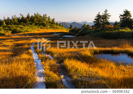 會津Komagatake 7 36996382