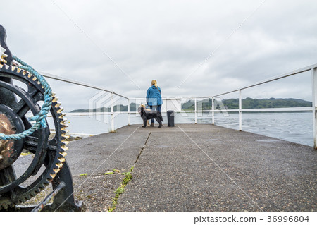Lady with two dogs waiting on the pier Lady with two dogs waiting on the pier 36996804
