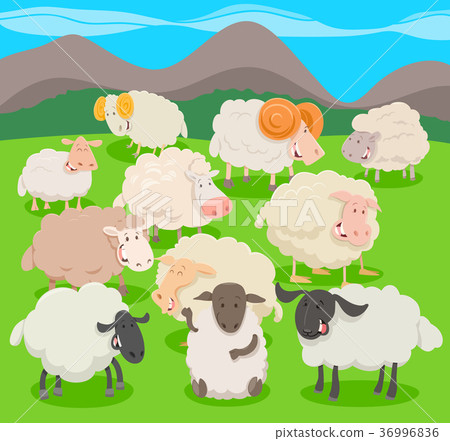 flock of sheep characters cartoon illustration flock of sheep characters cartoon illustration 36996836