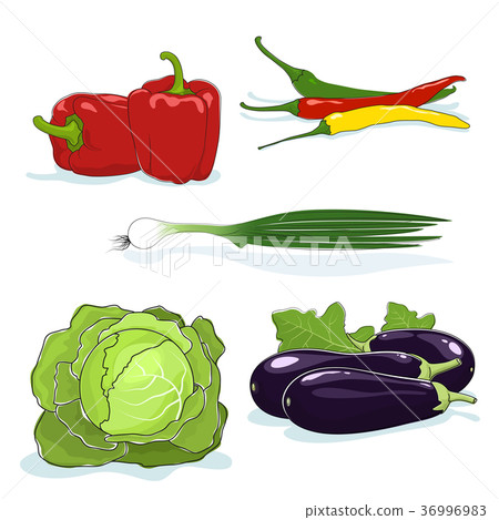 Fresh Gardening Vegetables Isolated on White Fresh Gardening Vegetables Isolated on White 36996983