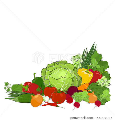 Fresh Raw Vegetables Isolated on White Fresh Raw Vegetables Isolated on White 36997007