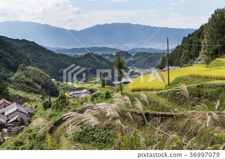 Satoyama autumn Asuka village 36997079