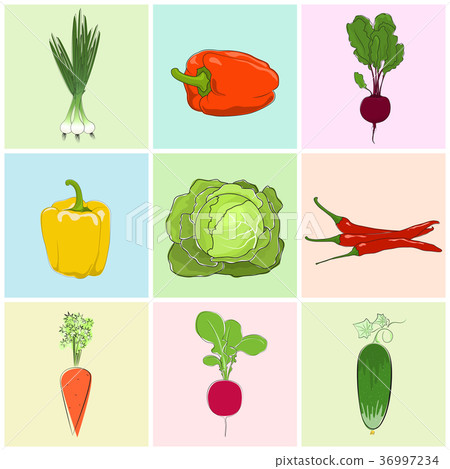 Icons Fresh Vegetables 36997234