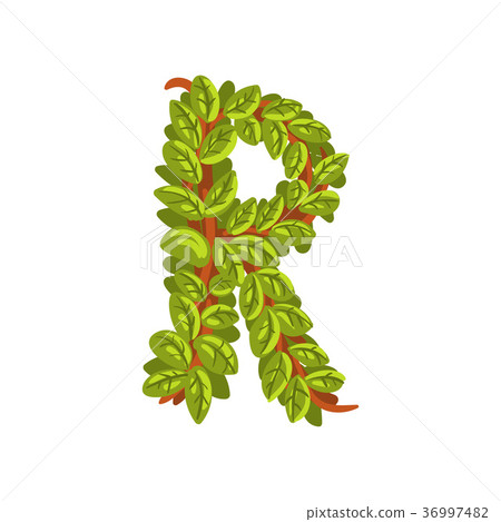 Letter R, English alphabet made of tree branches Letter R, English alphabet made of tree branches 36997482