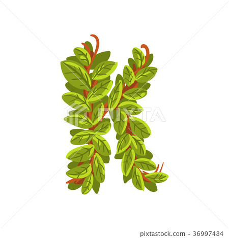 Letter K, English alphabet made of tree branches Letter K, English alphabet made of tree branches 36997484