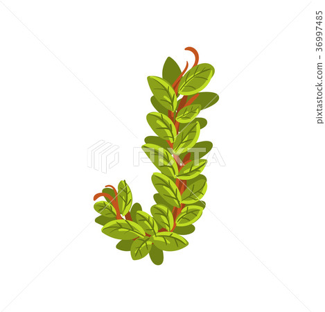 Letter J, English alphabet made of tree branches Letter J, English alphabet made of tree branches 36997485