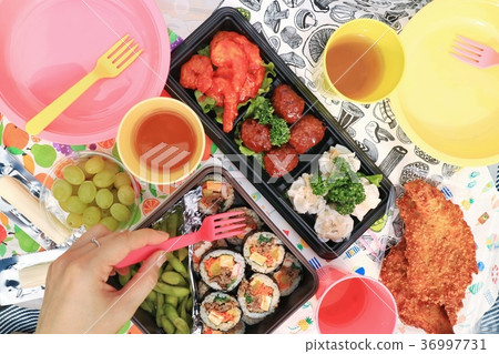 picnic lunch 36997731