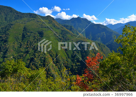 Countryside, Vision, Mountain, Autumn, Autumn, Forest, Tree, Sunshine, Bright, Sunny, Taiwan, Hsinchu, Show, Fresh 36997966