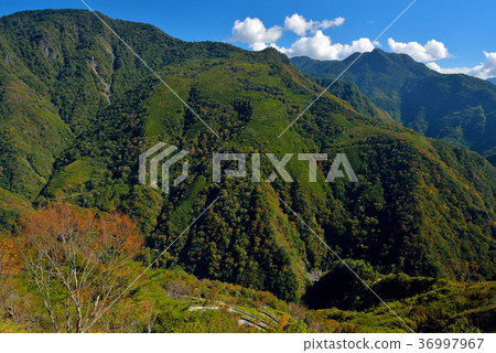鄉野,視野,山,秋季,秋天,森林,樹,陽光,明媚,晴朗,臺灣,新竹,秀巒,新鮮 鄉野,視野,山,秋季,秋天,森林,樹,陽光,明媚,晴朗,臺灣,新竹,秀巒,新鮮 36997967