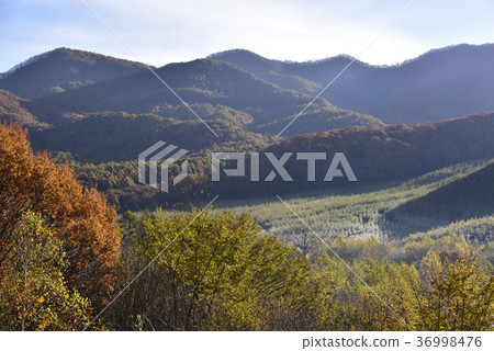 Asama Highlands 36998476