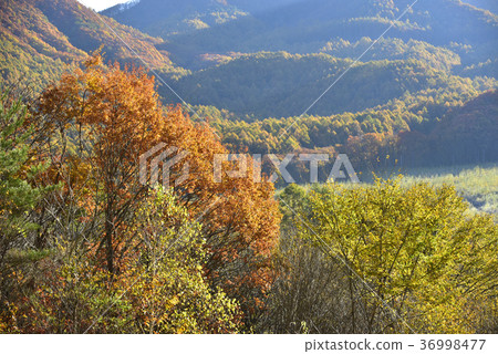 淺間高地 36998477