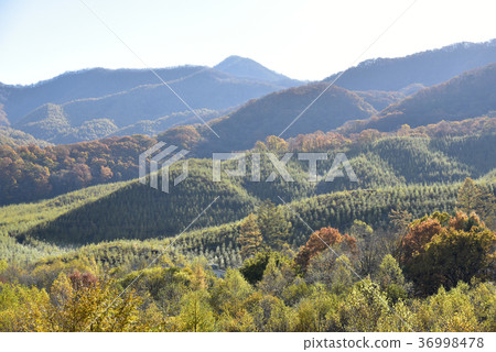 淺間高地 36998478