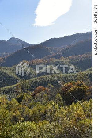 Asama Highlands 36998479