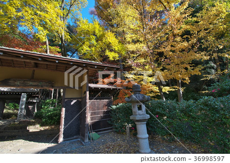 後藤藝術博物館的後門 36998597