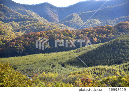 Asama Highlands 36998629