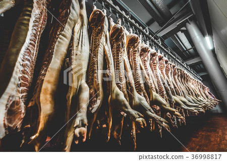 Chopped pig at a factory Chopped pig at a factory 36998817