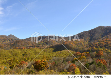 Asama Highlands 36998950