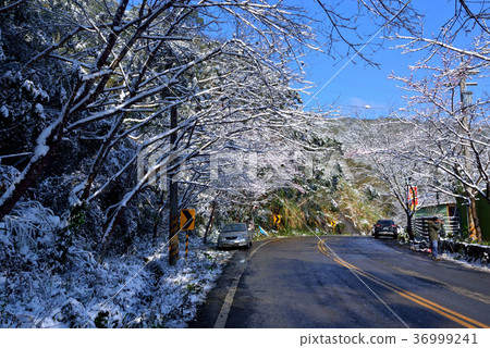 雪景,下雪,鄉野,視野,山,冬季,冬天,森林,樹,臺灣,桃園,新鮮,自然 36999241