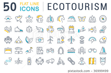 Set Vector Flat Line Icons Ecotourism 36999499