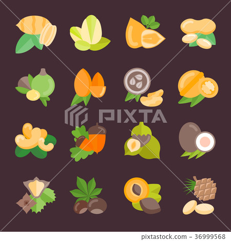 Set Vector Flat Icons of Nuts Set Vector Flat Icons of Nuts 36999568