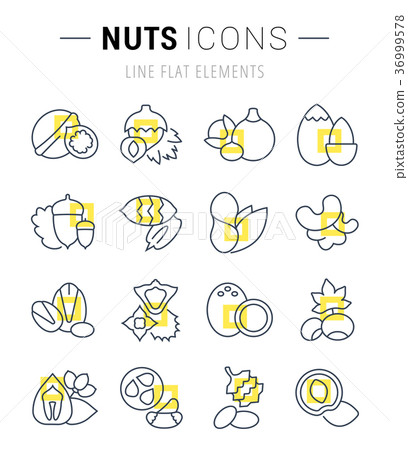 Set Vector Flat Line Icons of Nuts Set Vector Flat Line Icons of Nuts 36999578