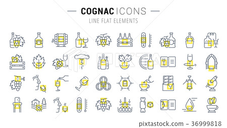 Set Vector Flat Line Icons Cognac Set Vector Flat Line Icons Cognac 36999818
