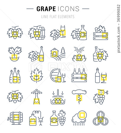 Set Vector Flat Line Icons Grape  36999882