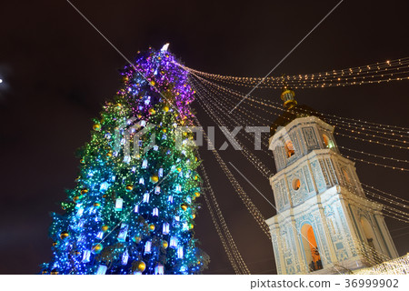 New Year Tree, Kyiv, Ukraine 36999902