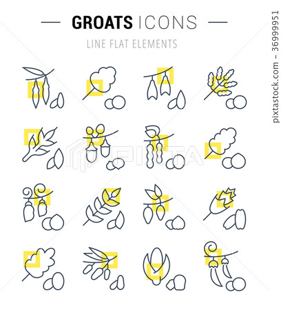 Set Vector Line Icons of Groats Set Vector Line Icons of Groats 36999951