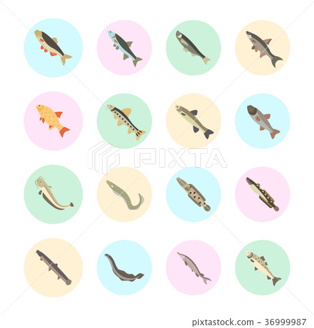 Set Vector Flat Icons of Freshwater Fish Set Vector Flat Icons of Freshwater Fish 36999987