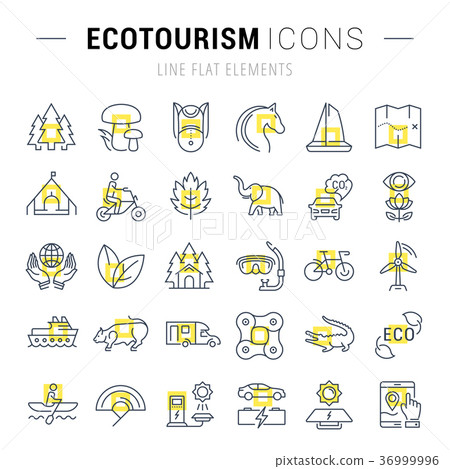 Set Vector Flat Line Icons Ecotourism Set Vector Flat Line Icons Ecotourism 36999996