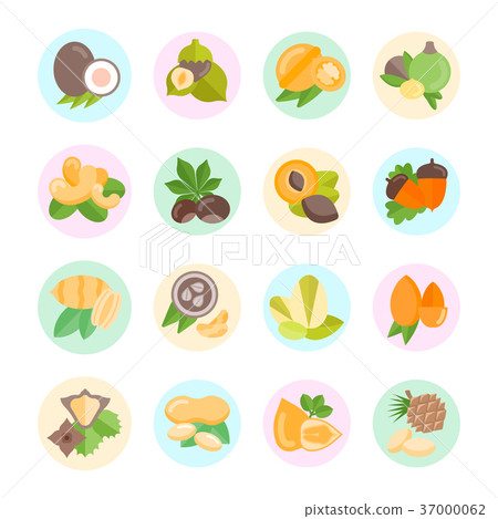 Set Vector Flat Icons of Nuts Set Vector Flat Icons of Nuts 37000062