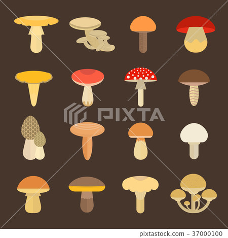 Set Vector Illustration of Mushrooms Set Vector Illustration of Mushrooms 37000100