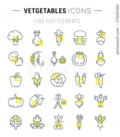 Set Vector Flat Line Icons Vegetables - Stock Illustration [37000260 ...