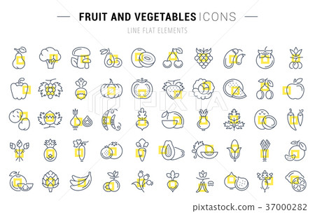 Set Vector Flat Line Icons Vegetables and Fruit - Stock Illustration ...