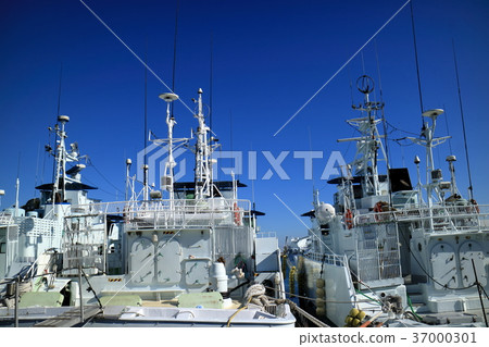 Bonito ship 37000301