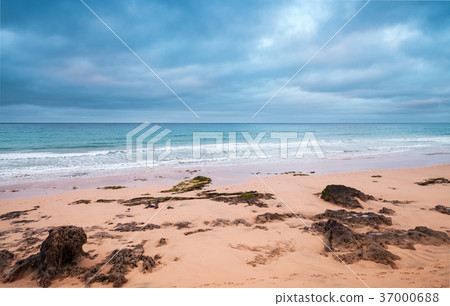 Coastal rocks on the beach of Porto Santo 37000688