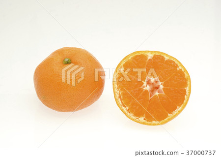Mikan Nishiukazu橙色白色出來 Mikan Nishiukazu橙色白色出來 37000737