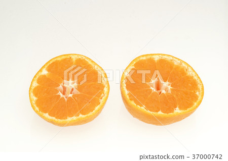 Mikan Nishiukazu orange white out 37000742