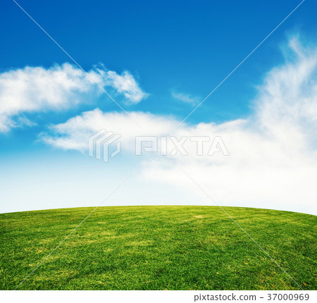 summer grass lawn with sky 37000969