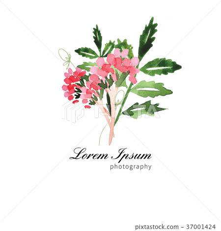Hand Painted Wildflower floral pattern Hand Painted Wildflower floral pattern 37001424