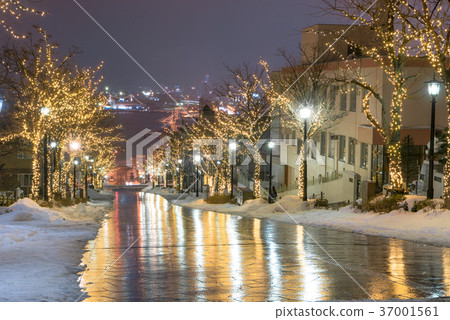 函館八幡坂的照明 37001561