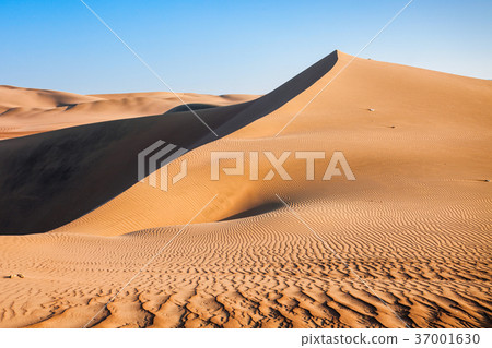 Huacachina desert dunes 37001630