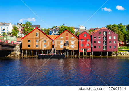 Colorful old houses, Trondheim Colorful old houses, Trondheim 37001644